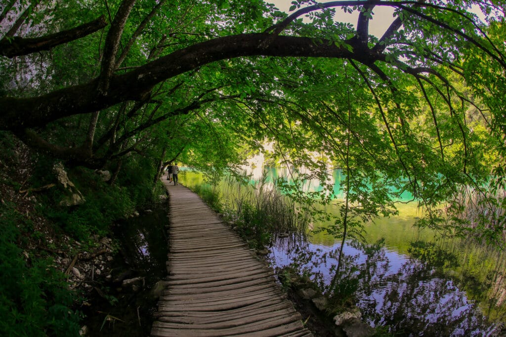 TOUR TO PLITVICE LAKES