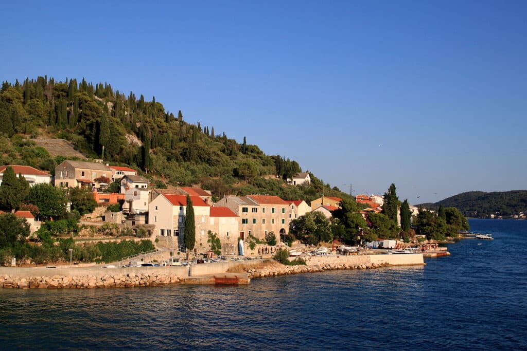 HALF DAY PRIVATE BOAT TOUR